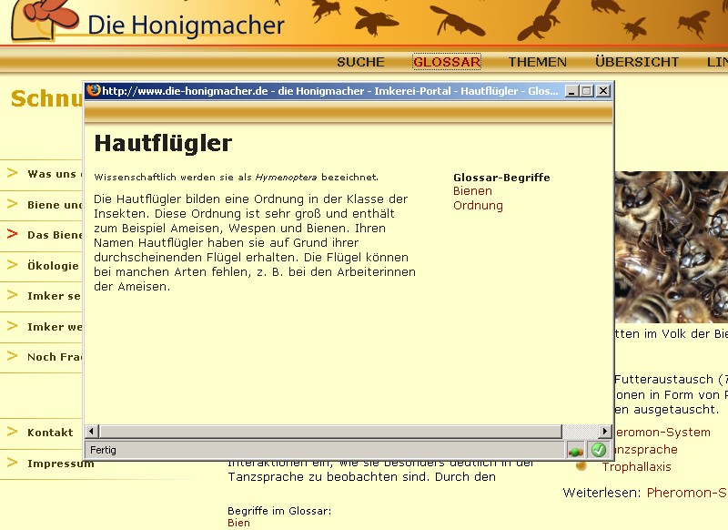 Glossareintrag zum Thema Hymenopteren